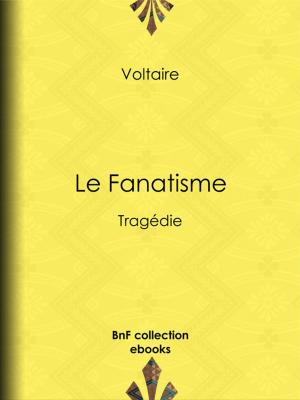 Cover of the book Le Fanatisme by Louis Phocion Todière