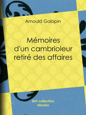 Cover of the book Mémoires d'un cambrioleur retiré des affaires by Stanislas Meunier