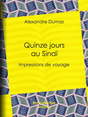 Cover of the book Quinze jours au Sinaï by Champfleury