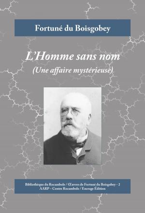 Cover of the book L'Homme sans nom by Fortuné du Boisgobey