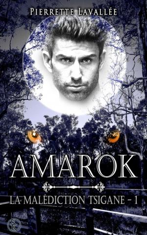 Cover of the book Amarok by Pierrette Lavallée