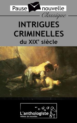 Book cover of Intrigues criminelles du XIXe siècle
