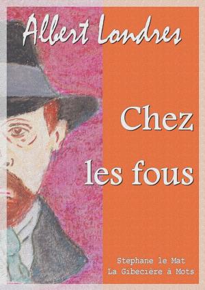 Cover of the book Chez les fous by Emile Gaboriau
