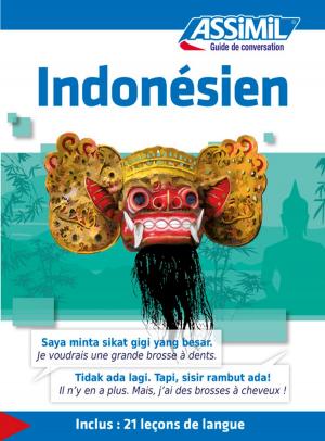 Cover of the book Indonésien - Guide de conversation by Estelle Demontrond-Box