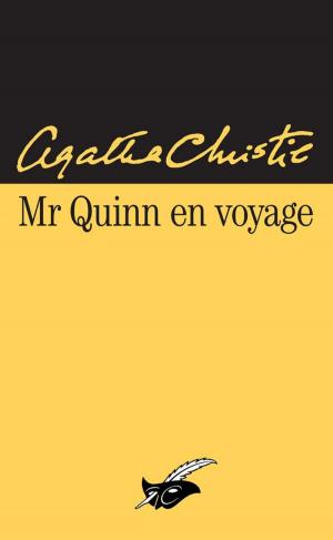 Cover of the book Mr Quinn en voyage by Jeffrey Cohen