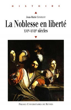 Cover of the book La noblesse en liberté by Samuel Guicheteau