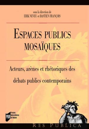 Cover of the book Espaces publics mosaïques by Stéphanie Bryen