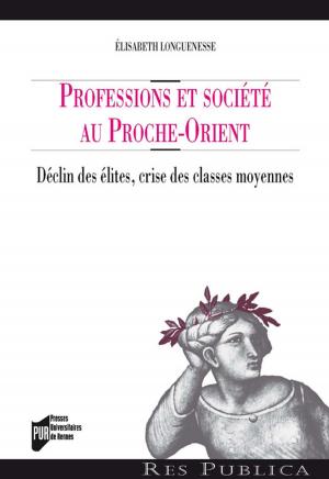 Cover of the book Professions et société au Proche-Orient by Gyula Kristó