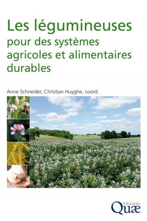 Book cover of Les légumineuses pour des systèmes agricoles et alimentaires durables
