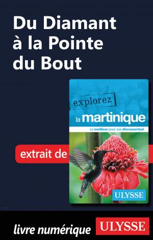 Book cover of Martinique - Du Diamant à la Pointe du Bout