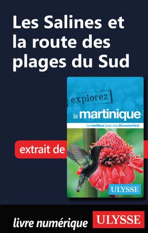 Book cover of Martinique - Les Salines et la route des plages du Sud