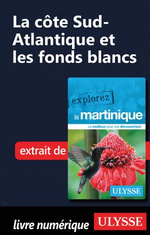 Book cover of Martinique - La côte Sud-Atlantique et les fonds blancs