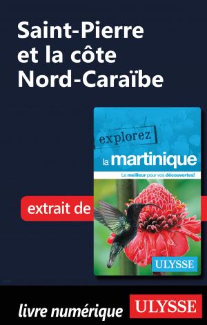 Book cover of Martinique - Saint-Pierre et la côte Nord-Caraïbe
