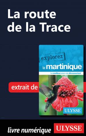 Book cover of Martinique - La route de la Trace
