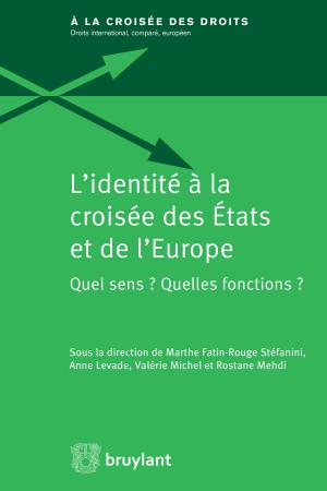 Cover of the book L'identité à la croisée des États et de l'Europe by Dan Kaminski