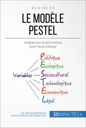Cover of the book Le Modèle PESTEL by Jonathan Duhoux, Thomas Jacquemin, Mélanie Mettra, 50Minutes.fr