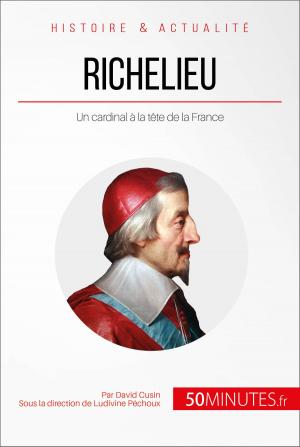 Cover of the book Richelieu by Claude Matoux, 50Minutes.fr
