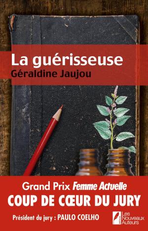 Cover of the book La guérisseuse by Rosalie Lowie