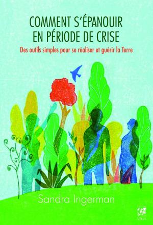 Cover of the book Comment s'épanouir en période de crise by Sandra Ingerman, Llyn Roberts