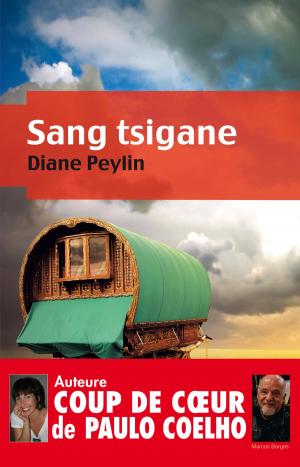 Cover of the book Sang tsigane by Hakan Ostlundh