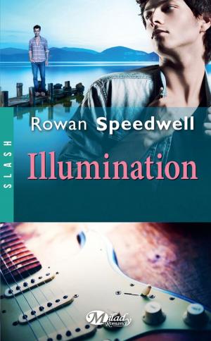 Cover of the book Illumination by Mark Cheverton