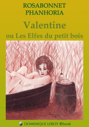 Book cover of Valentine