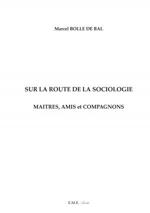 Cover of the book Sur la route de la sociologie by Gilles Hieronimus, Julien Lamy