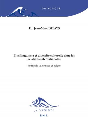 Cover of the book Plurilinguisme et diversité culturelle dans les relations internationales by Philippe Blanchet, Didier de Robillard