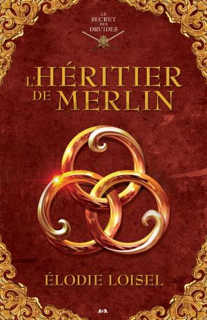 Book cover of L'héritier de Merlin