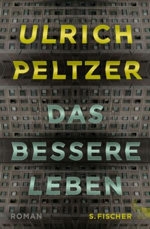 Book cover of Das bessere Leben