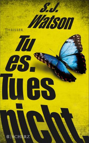 Cover of the book Tu es. Tu es nicht. by Gerhard Roth