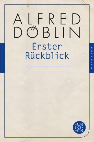 Cover of the book Erster Rückblick by Franz Kafka