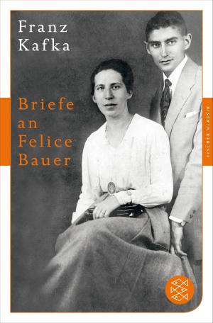 Book cover of Briefe an Felice Bauer