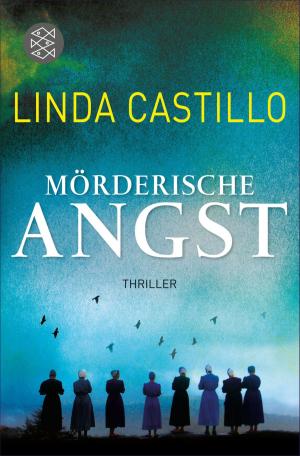 Book cover of Mörderische Angst