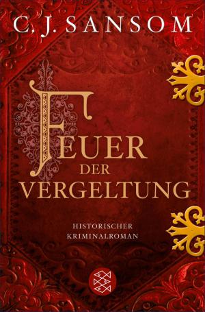 Cover of the book Feuer der Vergeltung by 