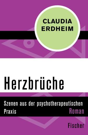 Cover of the book Herzbrüche by Jaroslav Hašek