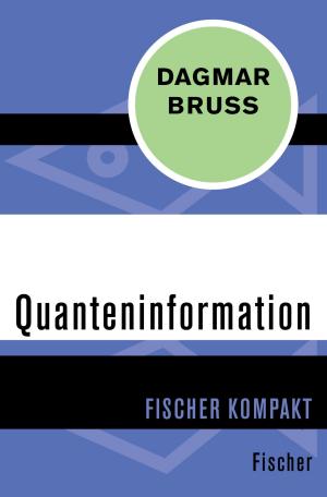 Cover of the book Quanteninformation by Paul Kohl, Prof. Dr. Wolfram Wette