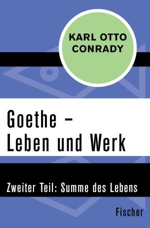 Cover of the book Goethe – Leben und Werk by Pierre Magnan