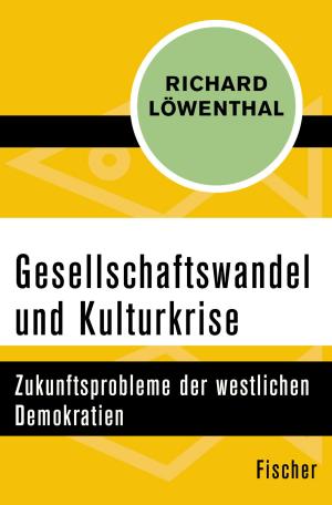 Cover of the book Gesellschaftswandel und Kulturkrise by Regine Schneider