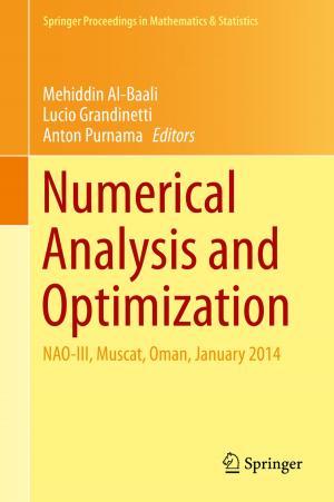 Cover of Numerical Analysis and Optimization