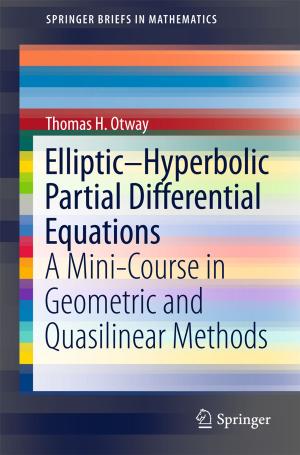 Book cover of Elliptic–Hyperbolic Partial Differential Equations