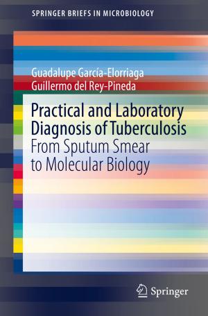 Cover of the book Practical and Laboratory Diagnosis of Tuberculosis by Gustav Sandin, Magdalena Svanström, Greg M. Peters