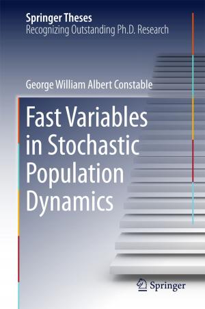 Cover of the book Fast Variables in Stochastic Population Dynamics by Carlos Henggeler Antunes, Maria Joao Alves, Joao Climaco