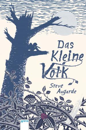Cover of the book Das Kleine Volk (1) by Ilona Einwohlt