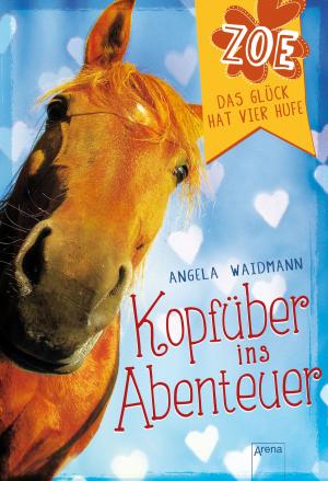 Cover of the book Kopfüber ins Abenteuer by Sue C. Hughey