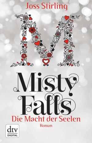 Book cover of Die Macht der Seelen - Misty Falls