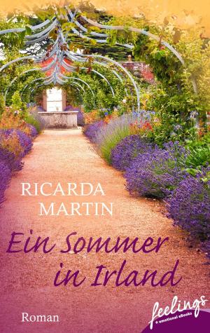 Book cover of Ein Sommer in Irland