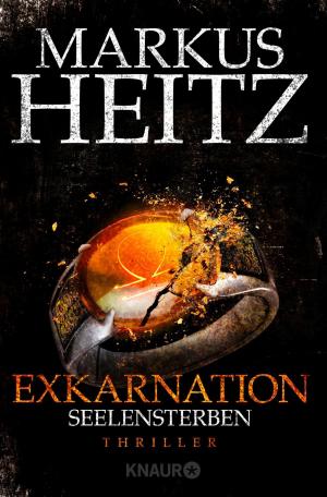 Cover of the book Exkarnation - Seelensterben by K.A Jones