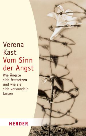 Cover of the book Vom Sinn der Angst by Julia Gerlach