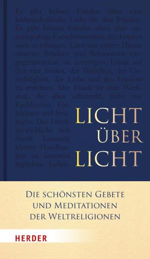 Cover of the book Licht über Licht by Jürgen Werbick